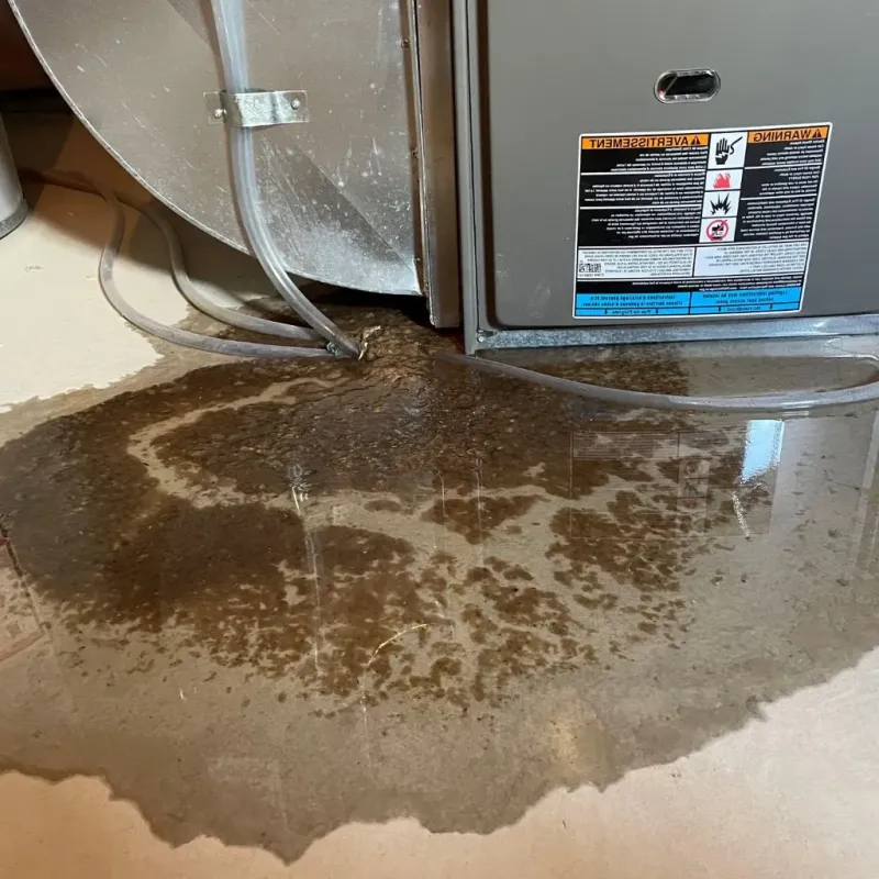 Pipe Burst and Leak Restoration in Rich Hill, MO