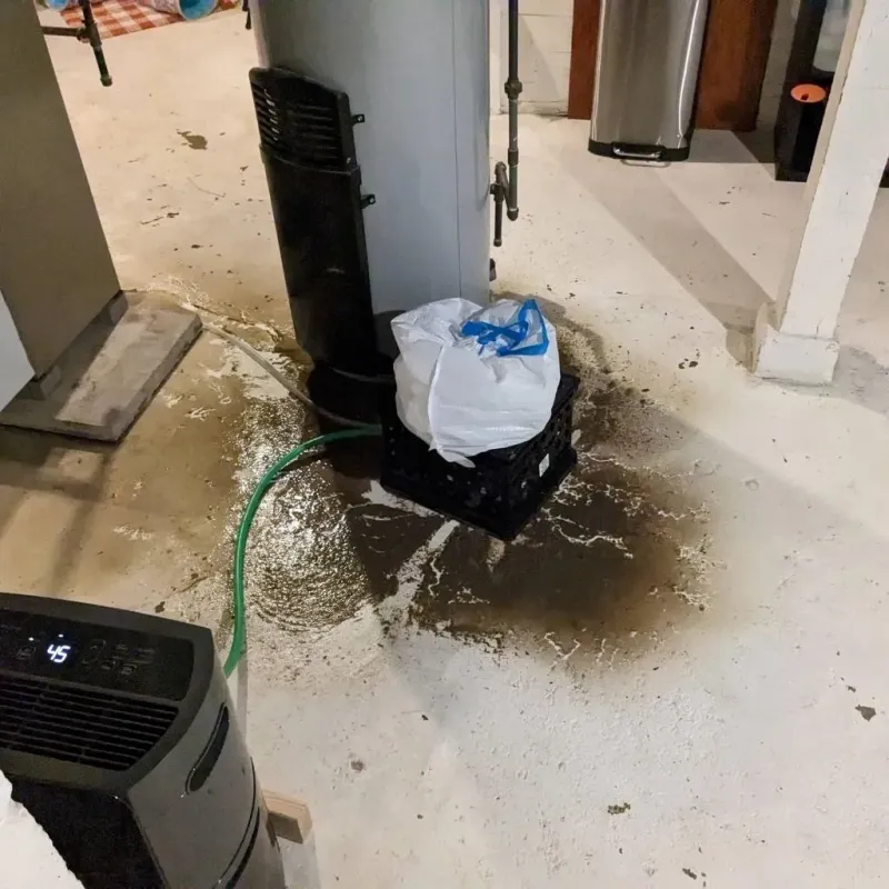 Sewage Backup Cleanup Service in Rich Hill, MO